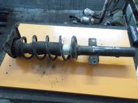 Federbein links hinten <br>FORD MONDEO III (B5Y) 2.5 V6 24V