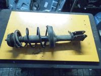 Federbein links vorn <br>RENAULT CLIO II (BB0/1/2_, CB0/1/2_) 1.5 DCI