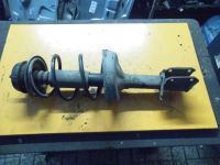 Federbein rechts vorn <br>RENAULT CLIO II (BB0/1/2_, CB0/1/2_) 1.5 DCI