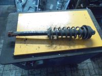 Federbein links hinten <br>FORD FIESTA 5