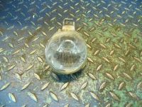 Blinker links Weiss<br>VW LUPO (6X1, 6E1) 1.7 SDI