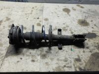 Federbein rechts vorn <br>RENAULT CLIO III (BR0/1, CR0/1) 1.5 DCI