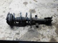 Federbein links vorn <br>RENAULT CLIO III (BR0/1, CR0/1) 1.5 DCI