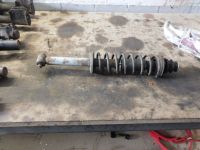 Federbein links hinten <br>VW POLO CLASSIC