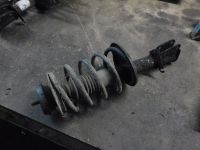 Federbein links vorn <br>RENAULT CLIO II (BB0/1/2_, CB0/1/2_) 1.2