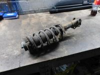 Federbein rechts vorn <br>VW POLO (6N2) 1.0