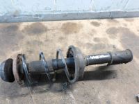 Federbein links vorn <br>RENAULT CLIO II (BB0/1/2_, CB0/1/2_) 1.5 DCI