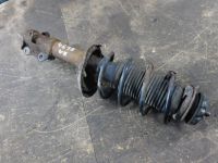 Federbein rechts vorn <br>VW LUPO (6X1, 6E1) 1.0