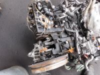 Motor Schlachtmotor<br>RENAULT TALISMAN