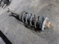 Federbein rechts vorn <br>VW PASSAT VARIANT (3B6) 1.6