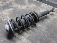 Federbein links vorn <br>VW PASSAT VARIANT (3B6) 1.6