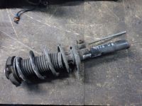 Federbein rechts vorn 50mm<br>VW GOLF PLUS (5M1, 521) 1.2 TSI