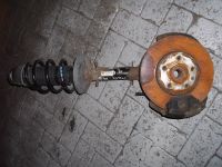 Federbein links vorn <br>FIAT BRAVO (182) 1.6 16V (182.AB)