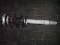 Federbein links vorn <br>BMW 5 (E39) 530 D